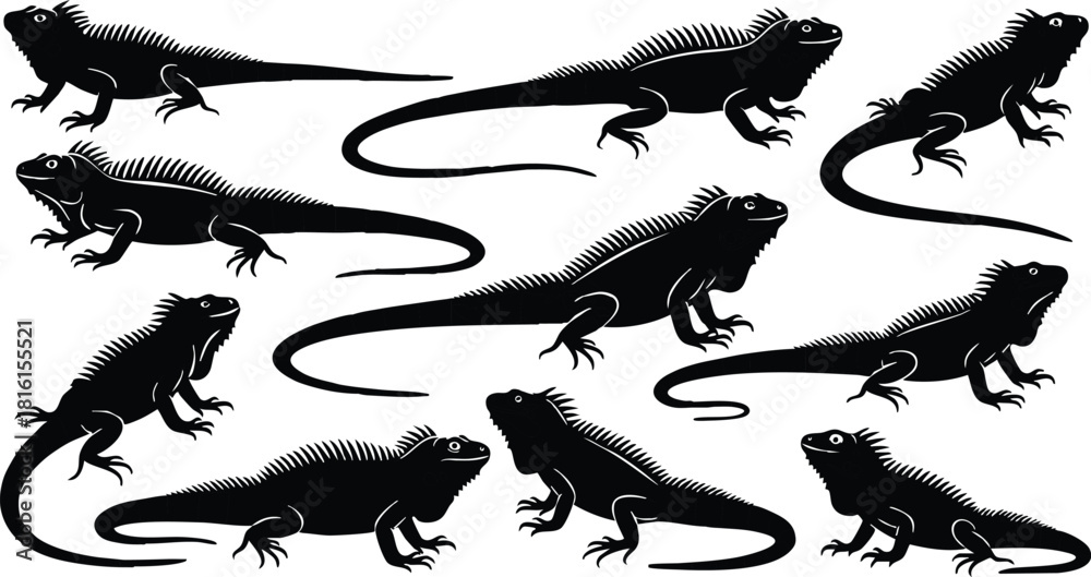 Fototapeta premium Iguana vector illustration featuring multiple poses and silhouettes for creative projects and designs 