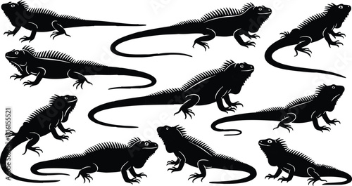 Iguana vector illustration featuring multiple poses and silhouettes for creative projects and designs 