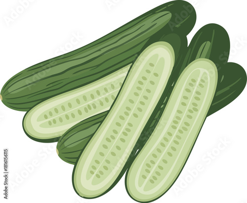 Illustration of several whole and sliced cucumbers on a white background with green hues.