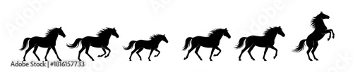 Horse Silhouette Evolution A Dynamic Sequence of Running and Rearing Horses in Black
