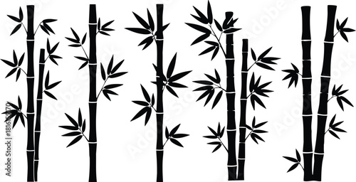 Bamboo vector illustration featuring various styles and sizes of bamboo stalks and leaves for design purposes 