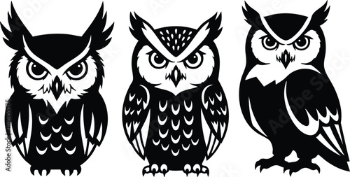 Three stylized owls in black and white illustration representing wisdom and mystery in nature 