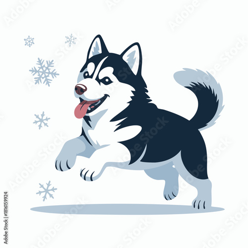A happy black and white husky dog jumping playfully in the snow with snowflakes falling around it.
