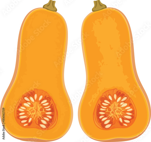 Two orange butternut squash halves with exposed seeds against a white background in a flat lay composition.