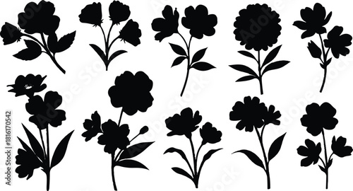 described features a collection of eleven distinct flower silhouettes, presented in black against a clean white background.