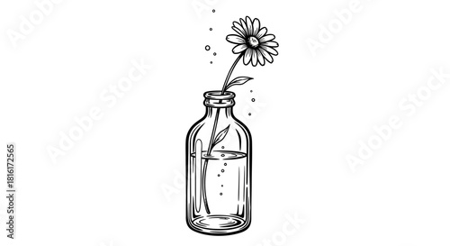 Simple hand-drawn daisy in a bottle with water artwork for creative designs concept
