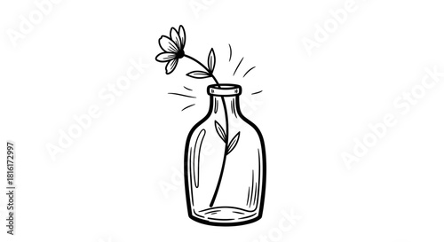 Minimalist botanical illustration showcasing a single flower in a transparent vase sketched in a