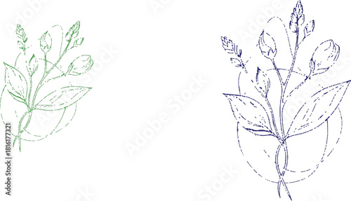 The image presents two floral designs that share a similar structure but differ in size and color, set against a clean white background that enhances their visibility.