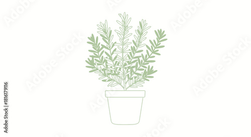 Serene Rosemary in a Simple Pot: A Gentle Botanical Illustration with Clean Aesthetics