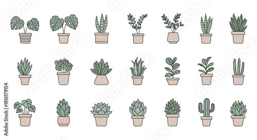 Assortment of delightful potted plants showcases varied leaf structures and container designs
