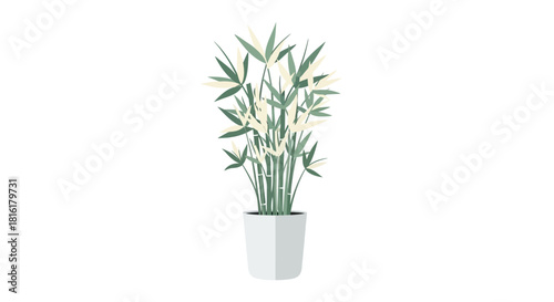 Elegant potted bamboo plant against a pristine white backdrop offering a serene touch to