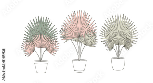 Artistic presentation of three stylized palm plants in pots, minimal line drawing technique