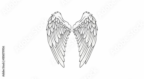 Hand drawn sketch of a pair of symmetrical angel wings.