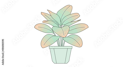 Stylized indoor foliage illustration with a pastel color scheme and sketch like aesthetic on a