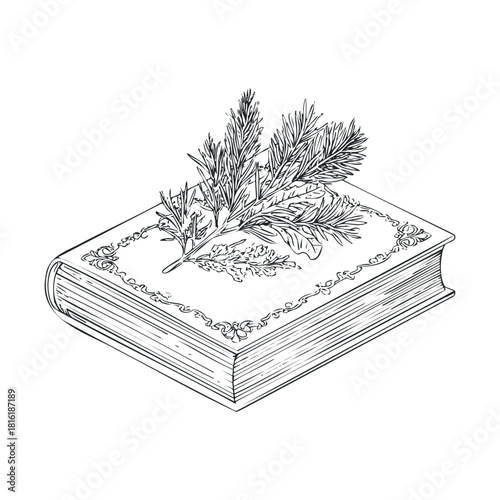 Vintage book with botanical decoration for nature enthusiasts.Vector hand draw