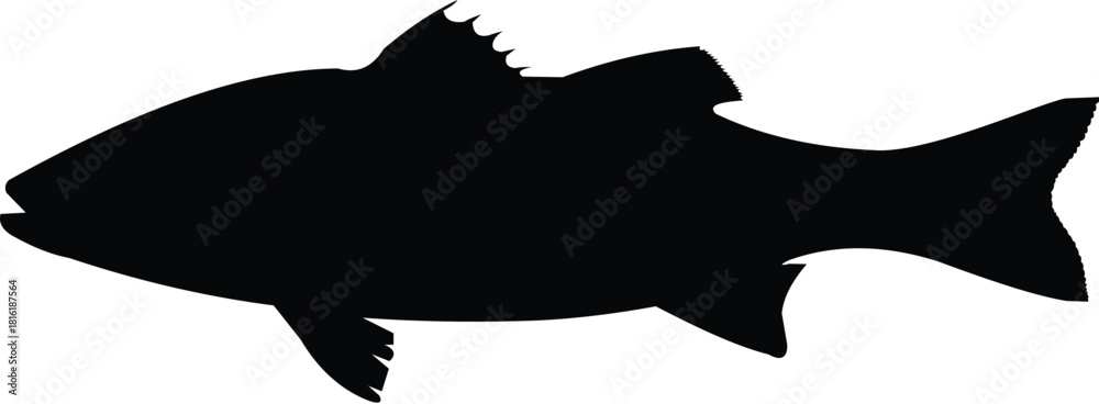 Εκτύπωση καμβά silhouette fish seabass on white background, vector illustration