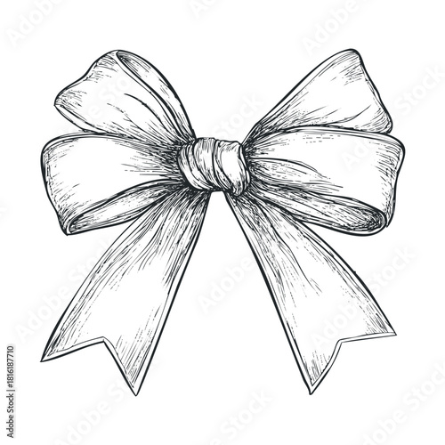 Elegant decorative bow design for festive occasions and gifts.Vector hand draw