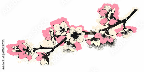 Cherry blossom branch with pink and cream flowers in grunge style