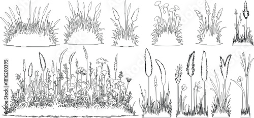 set of shrubs line cad, Ground cover. Illustration for elevation architectural element, side view, grass section.	vector illustration.