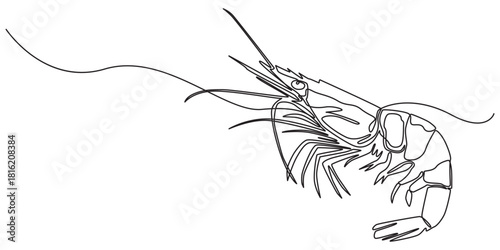 One continuous line drawing of fresh shrimp for seafood logo identity, Continuous one line drawing of shrimp. Isolated on white background vector illustration, Pro vector. One continuous line drawing 