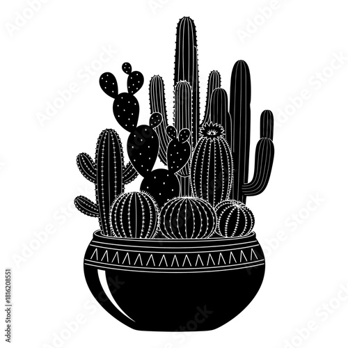 Monochromatic cactus arrangement in a decorative pot creating a graphic illustration portraying