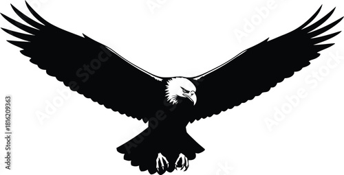 Black and white eagle flying with wings spread, isolated on white background.