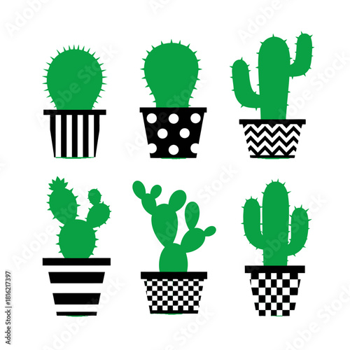 Minimalist vector illustration featuring diverse green cacti in patterned pots arrayed neatly