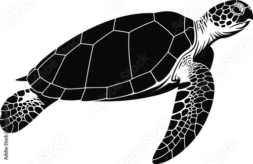 Cute wildlife turtle vector illustration of a slow walking reptile with a shell isolated on a white background for nature and pet design