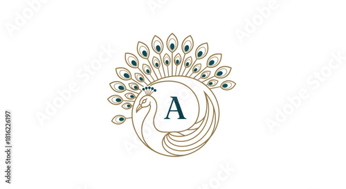 Elegant peacock line art design with intricate feather detailing for creative projects