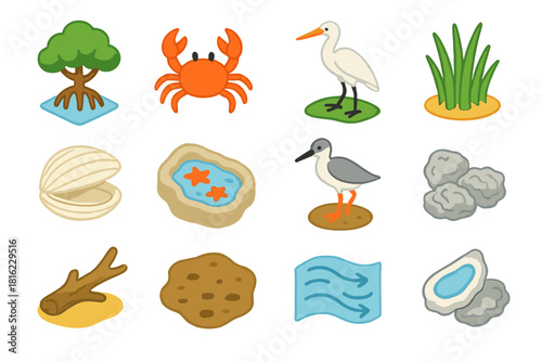 Coastal Wetlands Icons. Coastal wetlands flat icons set. mangrove tree, crab, egret, salt grass, clam shell, tide pool, wading bird, driftwood, mudflat, water current, seagrass