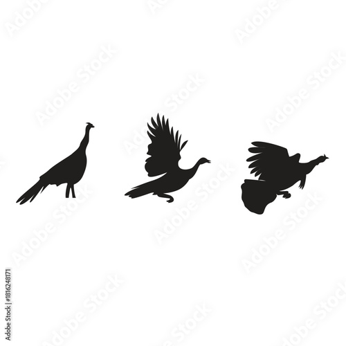 Silhouette of three turkeys in different poses isolated on, one standing, one flying, and one diving, creating a dynamic composition