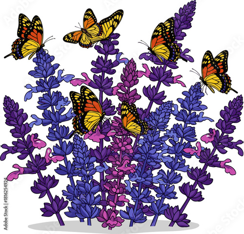 Create a Close up salvia flowers bush and butterflies vector art with white background..