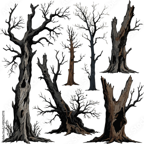 Create a kinds o f deferent old dead spooky tree vector art with white background.