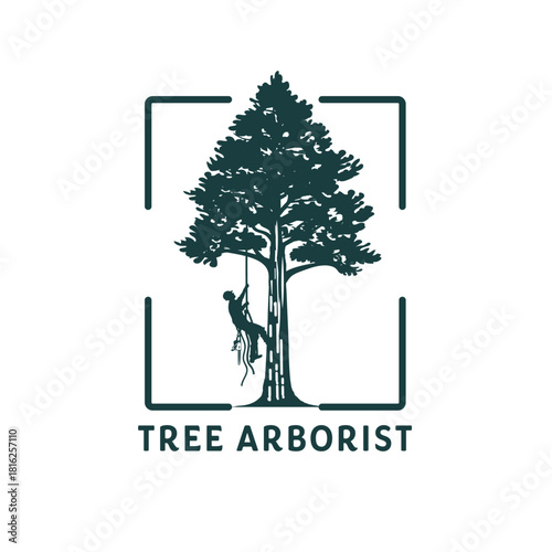 A skilled tree arborist climbs a tall tree using ropes and equipment, showcasing their expertise in tree care isolated on
