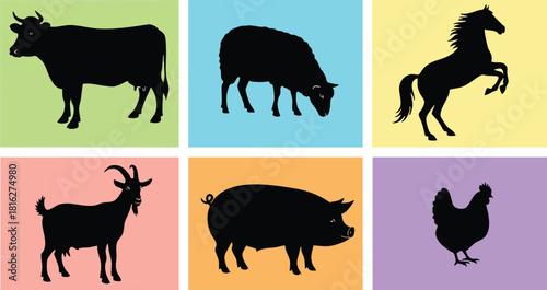 Silhouettes of cow pig horse goat sheep and chicken on colorful backgrounds vector illustration