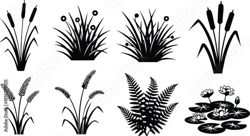 Black silhouette aquatic plants and water lilies vector collection simple nature design