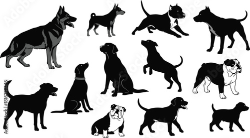 Vector set of various dog breeds silhouettes including German Shepherd Bulldog and Labrador playing sitting and standing isolated on white.