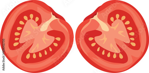 Flat lay illustration of two halved tomatoes with seeds on a white background.