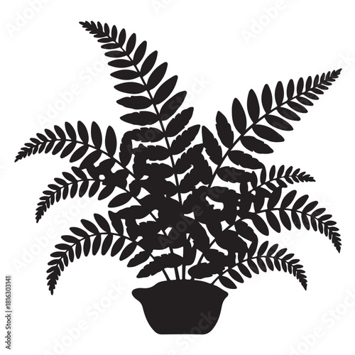 Lotus flower isolated on white background is a symbol of purity, love and rebirth in many cultures and religions