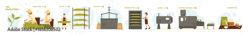 Tea production in food industry, manufacturing stages set. Harvesting on green plantation, processing line of drying, rolling and fermentation for baking and packaging cartoon vector illustration