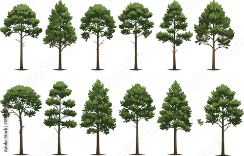 Collection of detailed green deciduous trees illustration set, natural forest tree variety for landscape design, botanical elements, foliage artwork, isolated vector graphics
