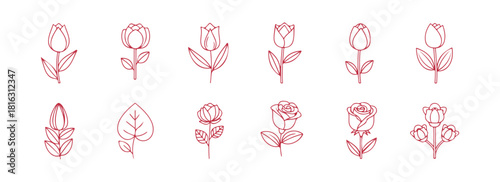 Blossom line symbol isolated on a white surface vector graphic

