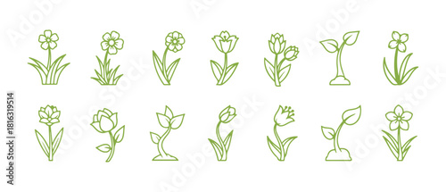 Flower outline icon detached on a white background vector depiction
