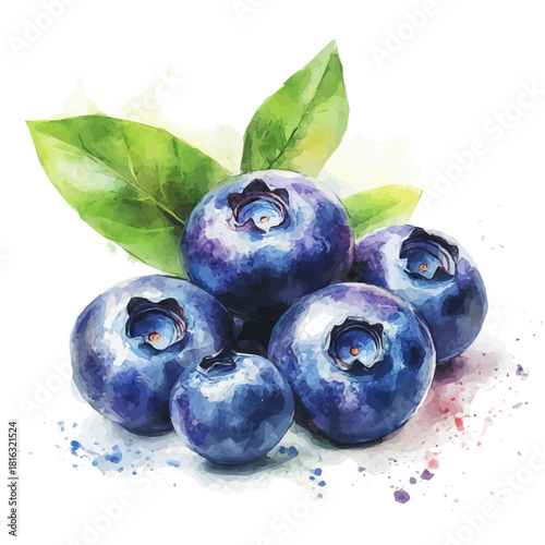 Watercolor_style_painting_of_fresh_blueberry_on_a_white_Hand-painted watercolor design, vectorized, painting style, vector set available in EPS format