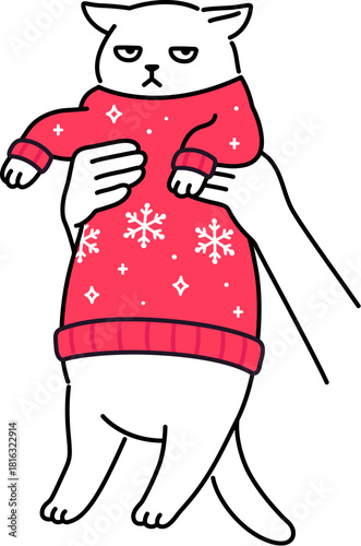 Hands holding up grumpy looking cat in red Christmas sweater. Funny cartoon drawing, cute and simple vector illustration. Chubby white cat doodle.