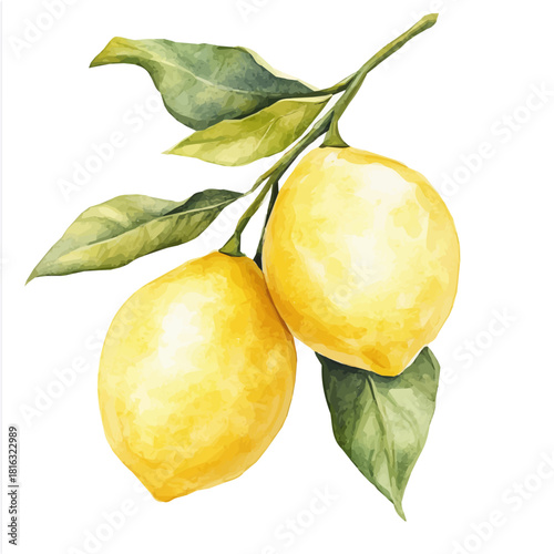 Cutw_Watercolor_style_painting_of_fresh_lemon_on_a_white_Hand-painted watercolor design, vectorized, painting style, vector set available in EPS, simple design