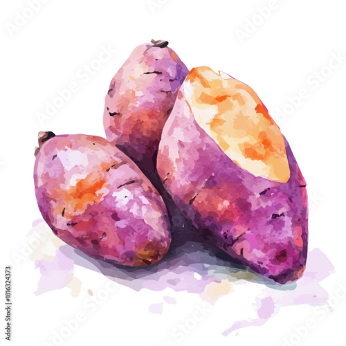Watercolor_style_painting_of_fresh_sweet_potato_on_a_white, Simple Hand-painted watercolor style, vectorized, painting style, vector set available in EPS