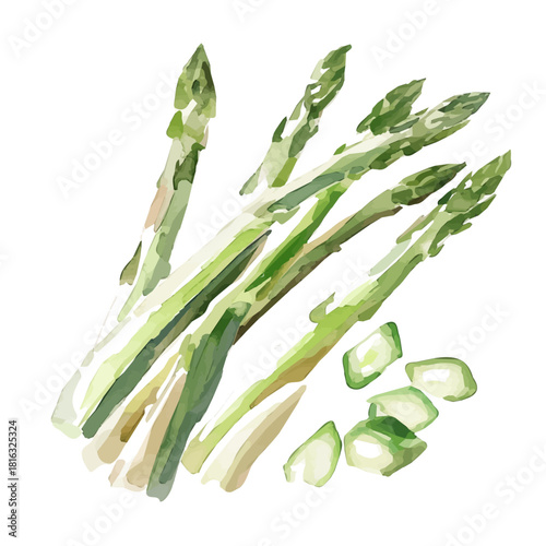 Watercolor_style_painting_of_sliced_asparagus_on_a_white, Simple Hand-painted watercolor style, vectorized, painting style, vector set available in EPS