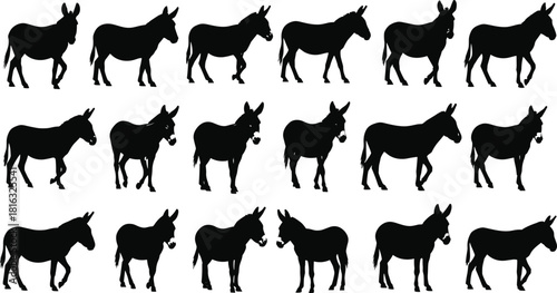 Set of black donkey silhouettes, isolated farm animal vector collection, standing and walking mule icons, nature illustration bundle, agriculture design elements on white backgroundv