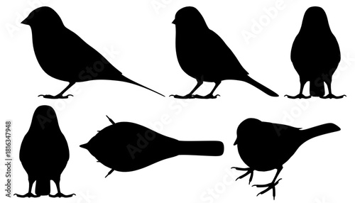 Six black bird silhouettes on a white background, featuring a sparrow, in a clean and versatile set. Perfect for design projects requiring simple, elegant graphics.